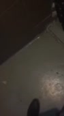 268x480