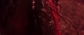 800x336