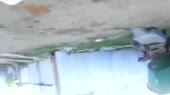 480x271