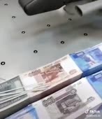 480x556