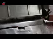 480x360