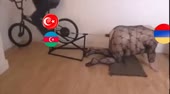 640x354