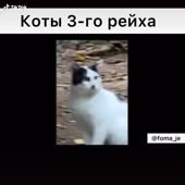 576x576