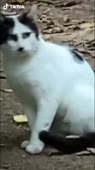 576x1024