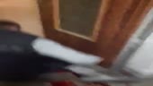 480x272