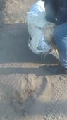 360x640
