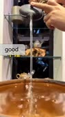 406x720