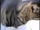 320x240