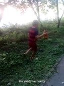 360x480