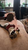406x720