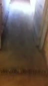 406x720