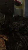 480x848