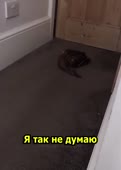 500x702