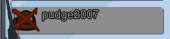 488x113