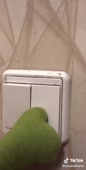 486x960