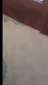 410x720