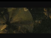 480x360