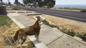 460x258