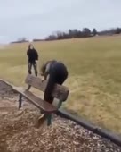290x360