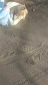 360x640