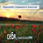 500x500