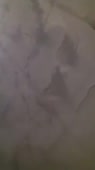 202x360