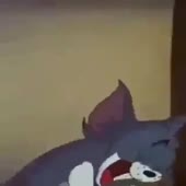 320x320