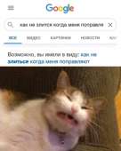 869x1080