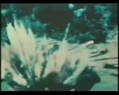 450x360