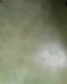 640x800