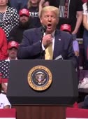 458x614