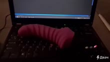 720x406