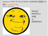 446x332