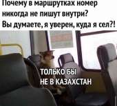 828x751