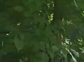 480x360