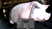 640x360