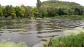 460x258