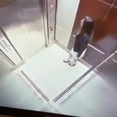 360x360