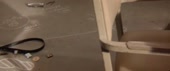 640x270