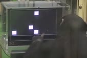 352x240