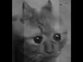 480x360