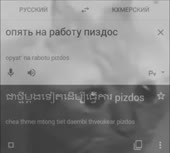 490x442