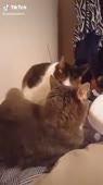 360x640