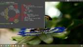 1360x768