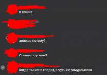 928x652