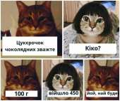 800x672