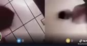 480x256