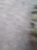 270x360