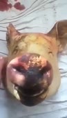 360x626