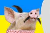 400x265